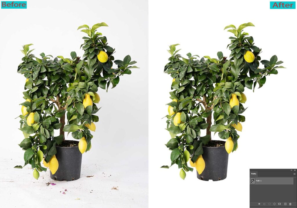 Clipping path service 6